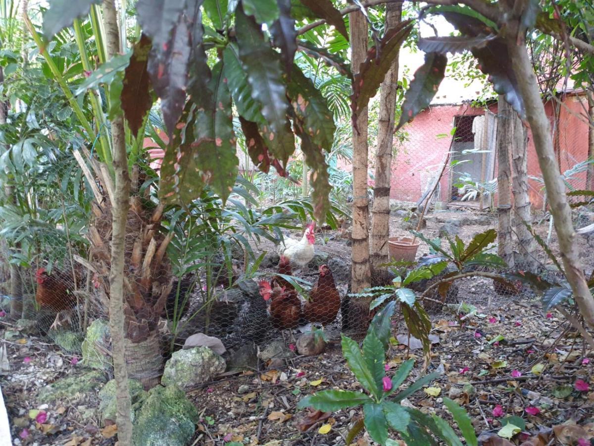 Casa Don Diego Tulum Luaran gambar